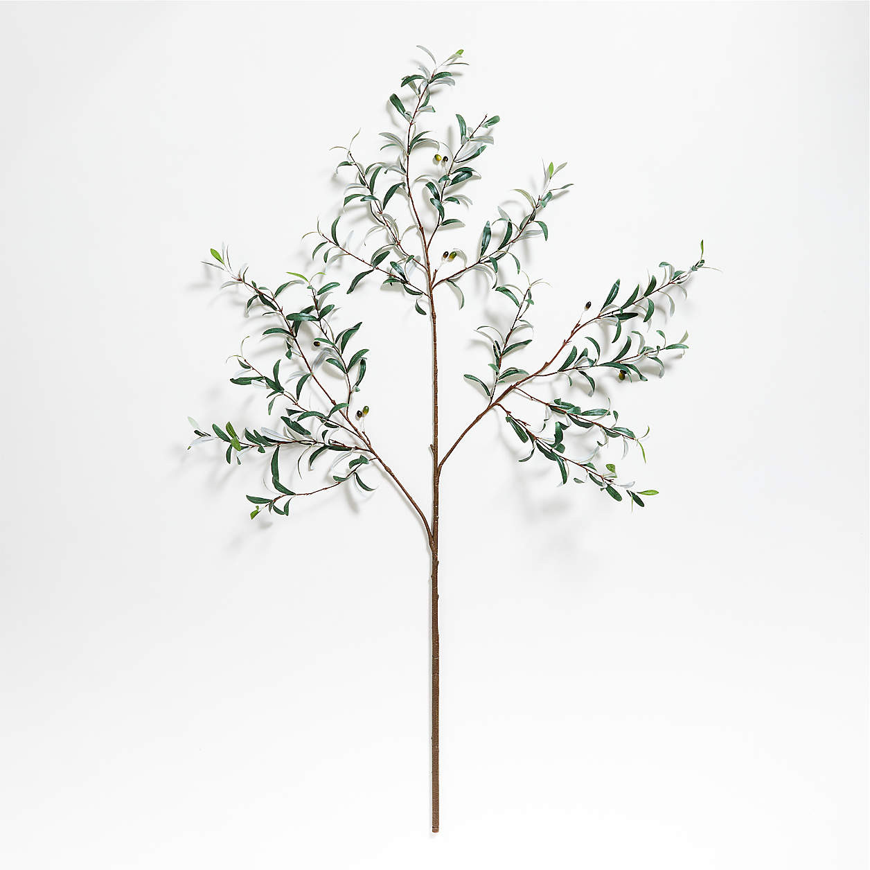 Extra-Large Faux Olive Stem 72" + Reviews | Crate & Barrel | Crate & Barrel
