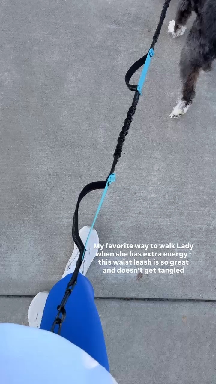 My fav workout shoes + leash! 

#LTKSeasonal #LTKootd #LTKgrwm