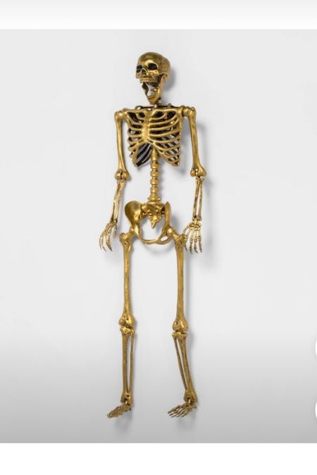 Target Skeleton, target Halloween decor 

#LTKunder50 #LTKhome #LTKHalloween