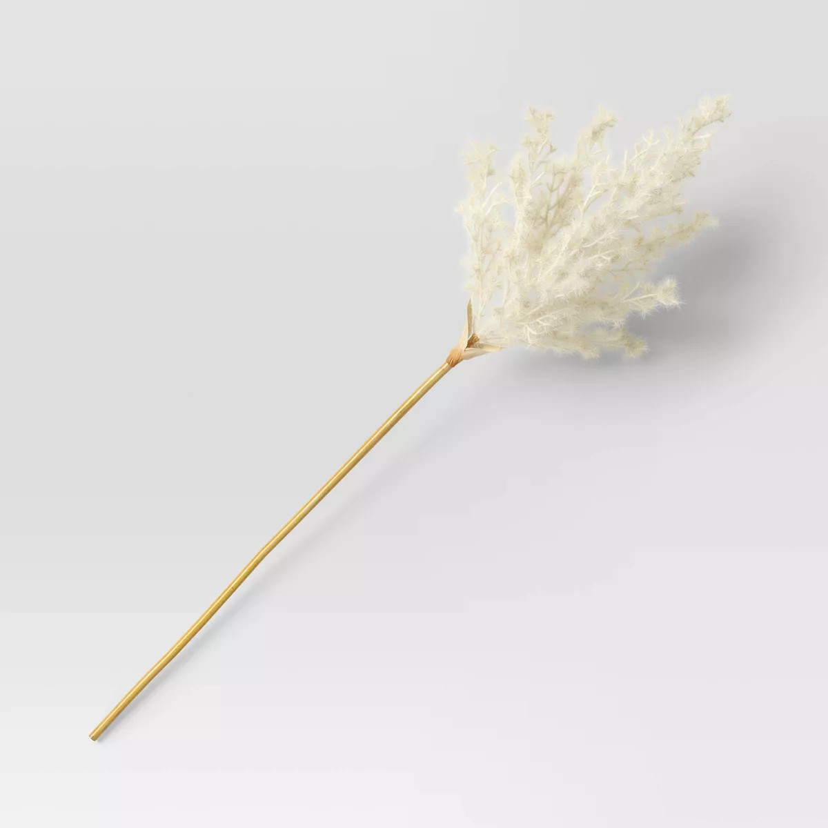 Pampas Grass Stem - Threshold™ | Target