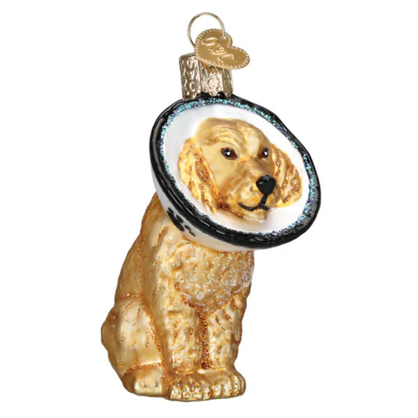 Cone of Shame Ornament | Waiting On Martha