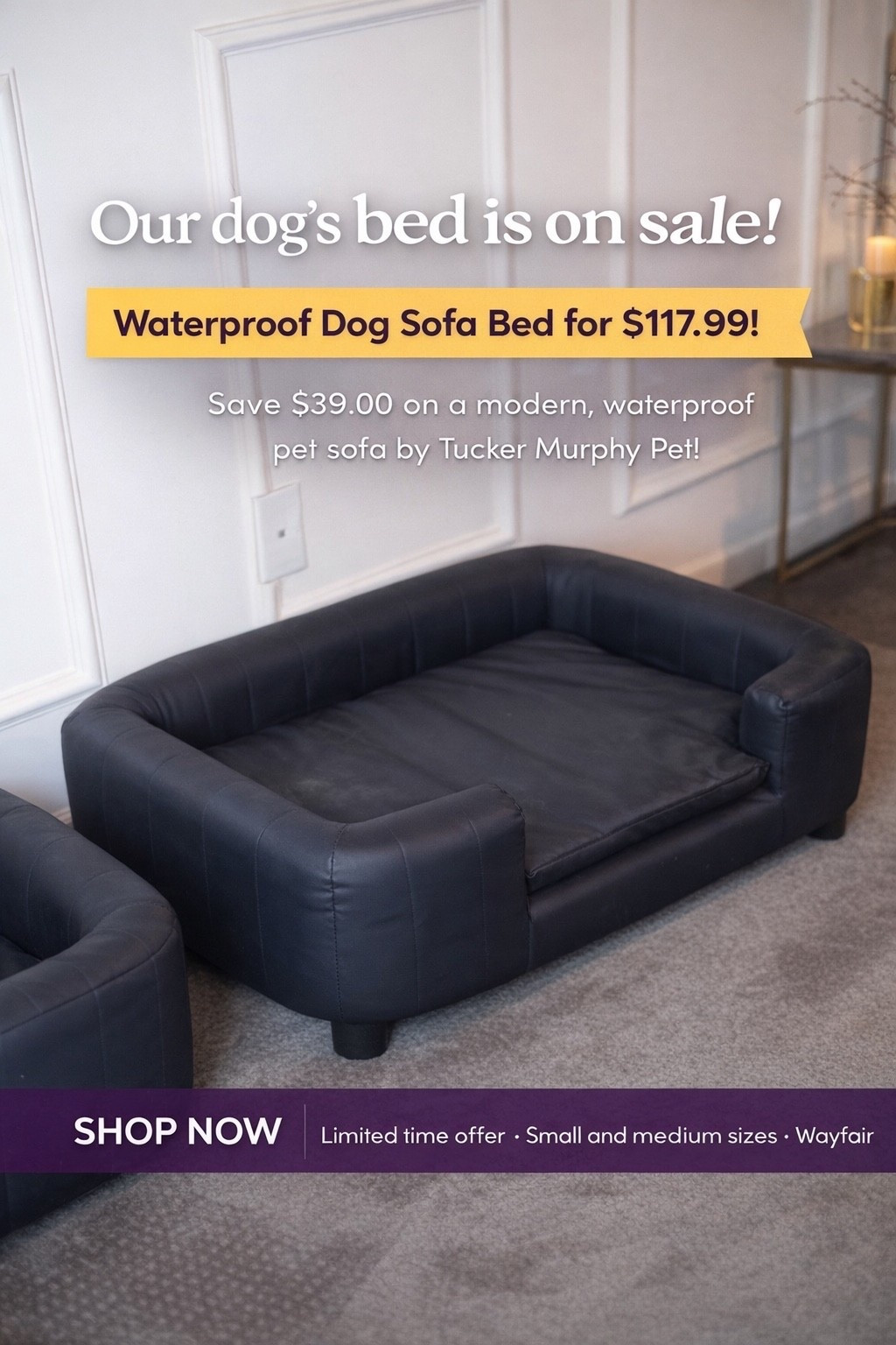 Our dogs finally have beds that look like real furniture 🙌
This modern dog sofa is waterproof, easy to clean, and currently on sale. It blends right into our home without screaming “pet bed,” which I love. Linked the exact one we use.

#LTKHome #LTKSaleAlert