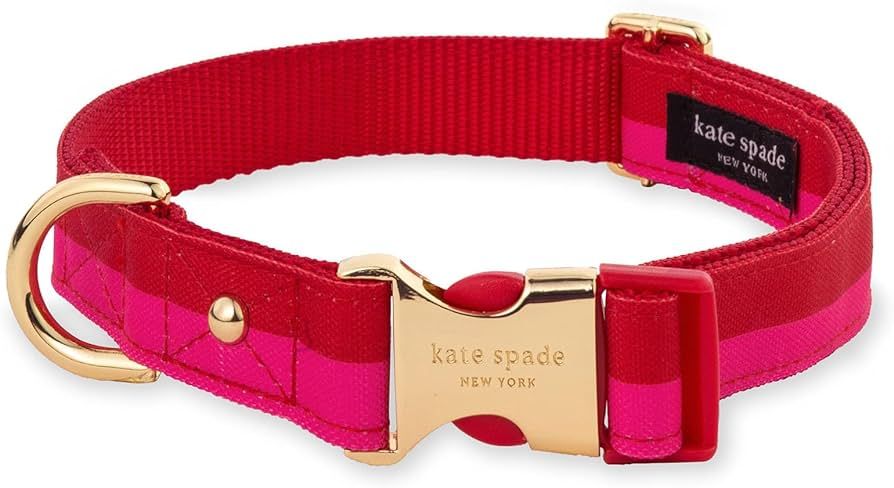 Kate Spade New York Cute Dog Collar, Gold Metal Buckle Dog Collar, 15.5" to 24" Adjustable Dog Co... | Amazon (US)