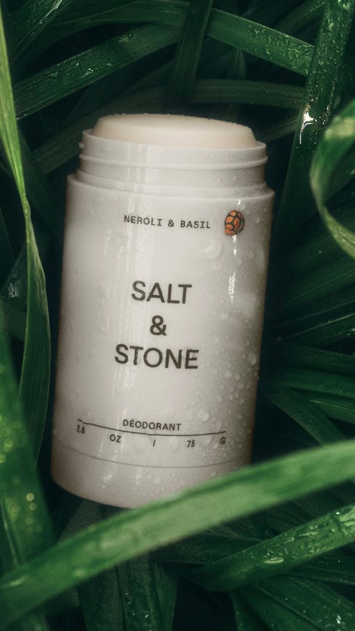 #nontoxic #clean #saltandstone #deodarant #basil 

#LTKGiftGuide #LTKSummerEdit #LTKFindsUnder50