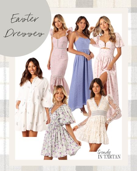 Easter dresses!

Mini dress, midi dress, spring dress, floral dress, lace dress, maxi dresss

#LTKstyletip #LTKSeasonal