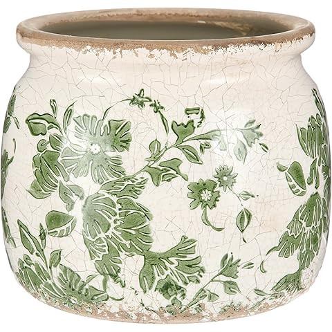 Vintage Ceramic Ice Crack Flower Pot with Drainage Holes, Country Rustic Planters for Indoor and ... | Amazon (US)