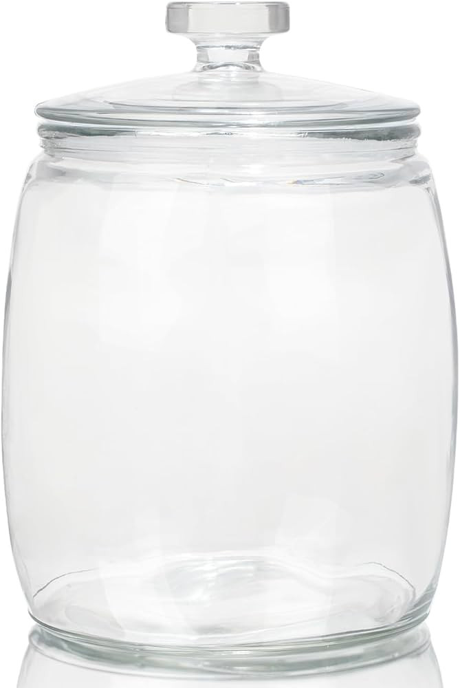CATPOWER 2.5 Gallon Wide Mouth Glass Storage Jars with Heavy Glass Lids - Large Cookie Jars for K... | Amazon (US)