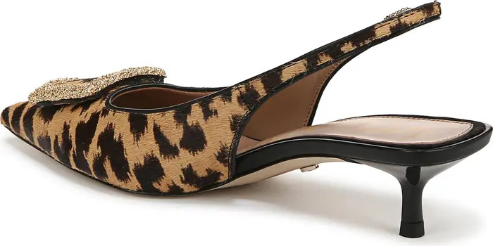 Kammie Slingback Pointed Toe Kitten Heel Pump (Women) | Nordstrom