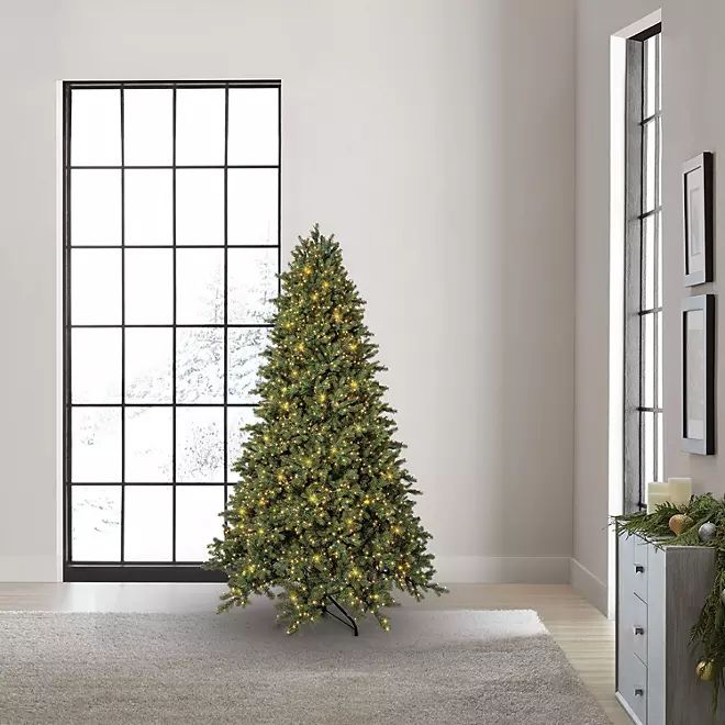 Member's Mark 7.5' 3,000 LED Pre-lit Norway Fir Christmas Tree | Sam's Club