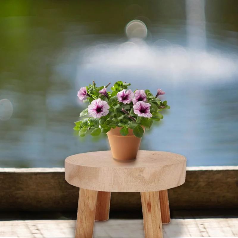 Wooden Plant Stand Flower Pot Base Holder Stool for Indoor Outdoor | Walmart (US)