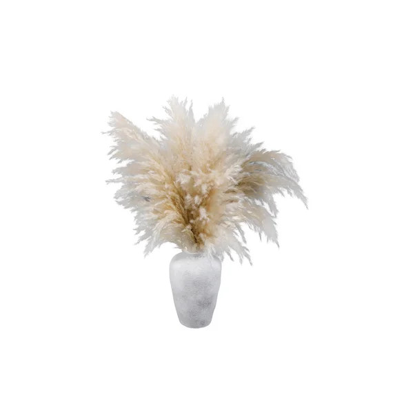 Home Decor Collection 22-Inch Pampas Grass Arrangement in Natural Ceramic Vase – Perfect for Ta... | Walmart (US)