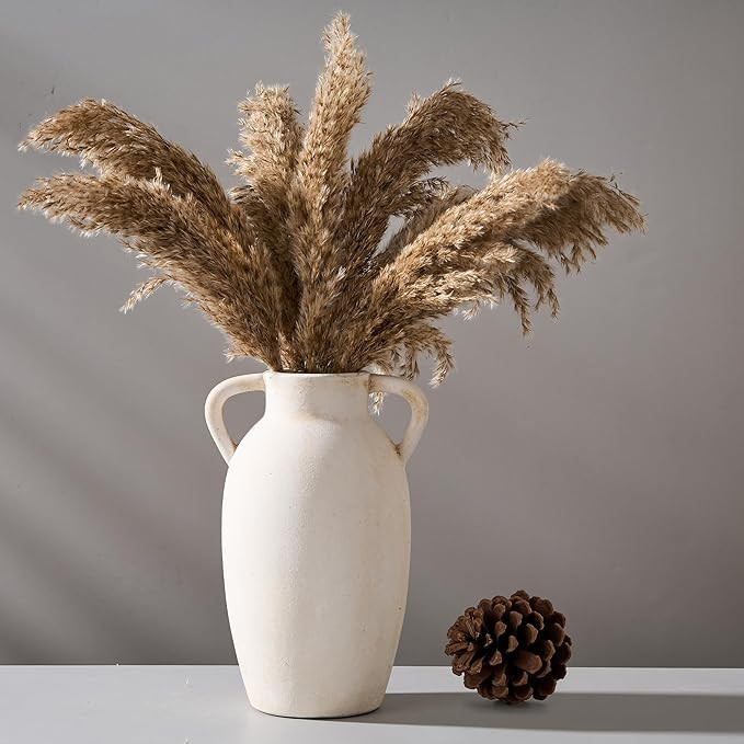 Ceramic Vase, 9.84 Inch Terracotta Vase with Handles, Boho Decor Decorative Vase, Rustic Vase for... | Amazon (US)