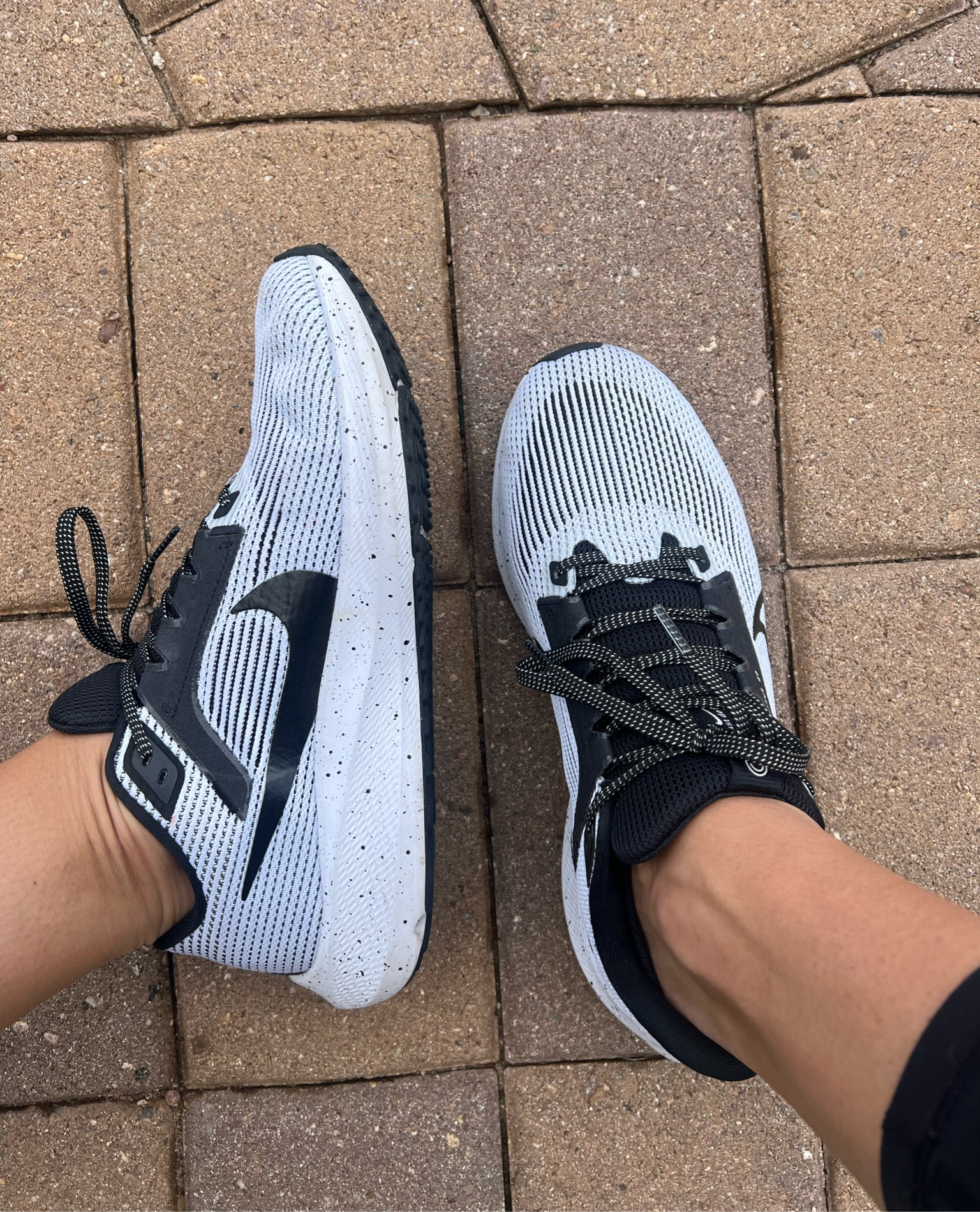 My favorite pair of shoes for our walks in the Arizona sunshine! 🌵 ☀️ #Nike #NikePegasus 

#LTKshoecrush #LTKfitness #LTKtravel