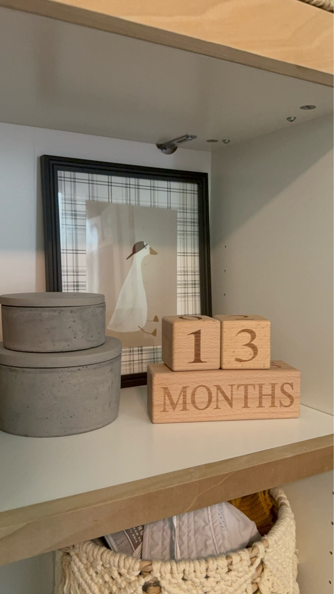 Nursery bookshelf decor milestone blocks for baby great baby shower gift silly goose nursery

#LTKmomlife #LTKBaby #LTKHome