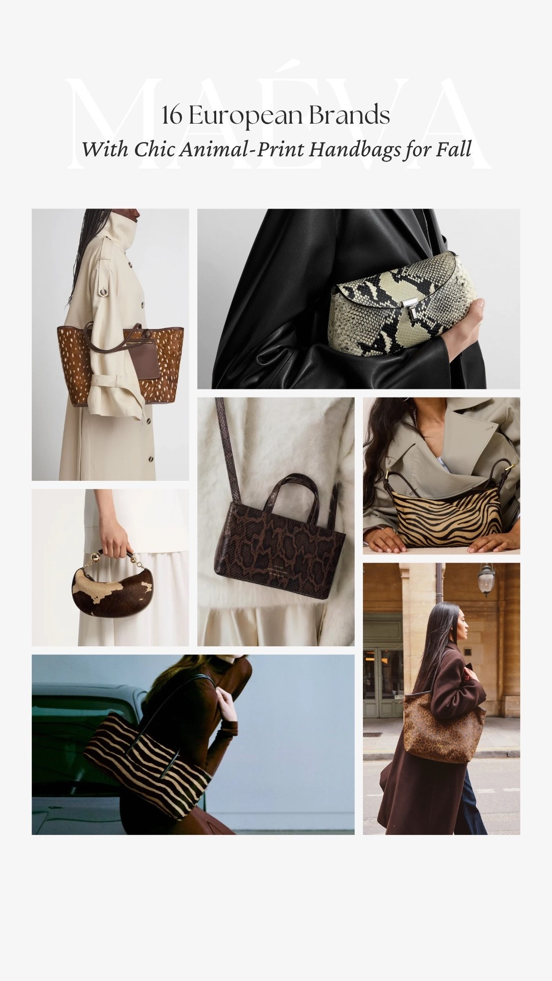 16 European Brands With Chic Animal-Print Handbags for Fall 👜

After suede and croc-embossed handbags, another detail I keep noticing across some of my favorite European brands for fall is animal print! From zebra and leopard to python, cow print and softer spotted finishes, there are so many beautiful interpretations in the new collections 🤎

For this edit, I rounded up 16 European brands with animal-print handbags I’m personally loving for fall, including Toteme, DeMellier, Strathberry, ATP Atelier, Ganni, Chylak and more! 

👜 Discover the full edit now live on maevawithamour.com, where you can explore all 16 brands in detail, learn a little more about each one and shop the featured styles

🤍 You can also shop the complete edit on ShopMy @ maevawithamour under ‘French & EU Bags’, where I’ve gathered all of the handbags featured here, plus even more finds from additional European brands - link in bio 

👉 Save this post for your next handbag search, and follow for more French & European brand discoveries, thoughtful shopping edits and timeless style inspiration

With Amour, M.

#LTKootd #LTKSeasonal #LTKTravel