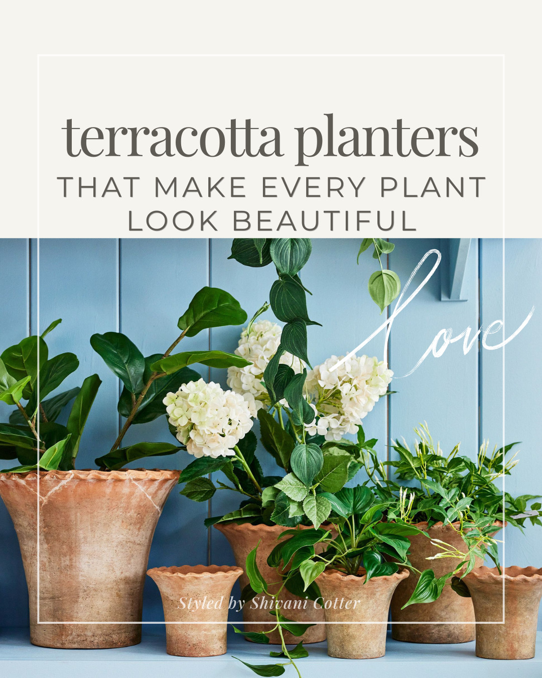 Aged Terracotta Planter That Make Any Plant Look Beautiful

These red clay terracotta pots have that perfectly aged, collected look that instantly makes plants feel more styled. The scalloped rim, warm clay color, and worn-in finish give them a timeless garden feel, whether you use them indoors, on a porch, or for pretty patio styling. Perfect for herbs, flowers, trailing plants, or adding a classic touch to any shelf, table, or outdoor space.

terracotta planters | red clay pots | aged terracotta pots | scalloped planters | indoor plant pots | outdoor planters | garden decor | patio planters | cottage garden style | classic plant pots | porch decor | herb garden pots #outdoorliving #plant 

 #LTKHome #LTKSaleAlert
