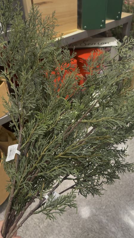 New affordable cedar stems! 

#LTKHoliday #LTKhome #LTKVideo