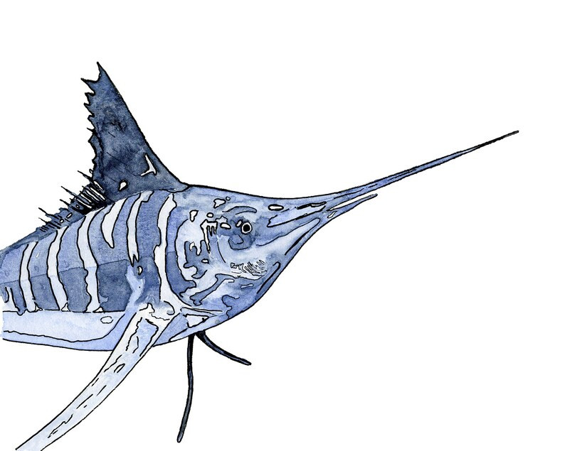 Striped Marlin Print Printable Printable Coastal Wall Art | Etsy | Etsy (US)