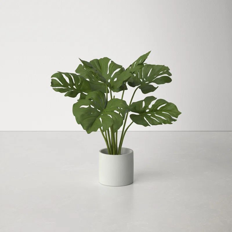 21'' Faux Evergreen Plant in Cement Pot | Wayfair North America
