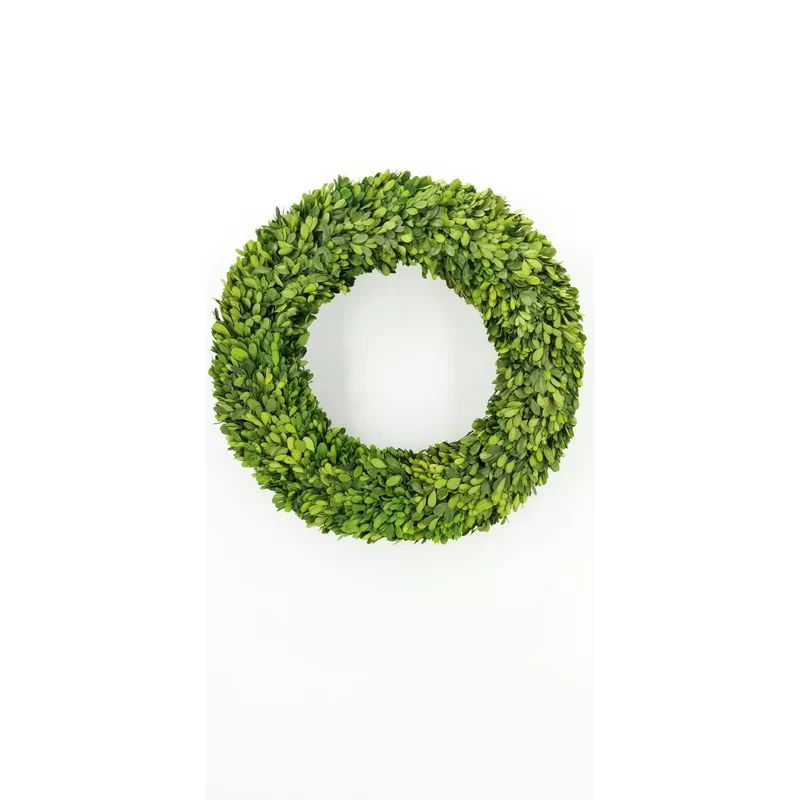 Preserved Boxwood Wreath | Wayfair North America