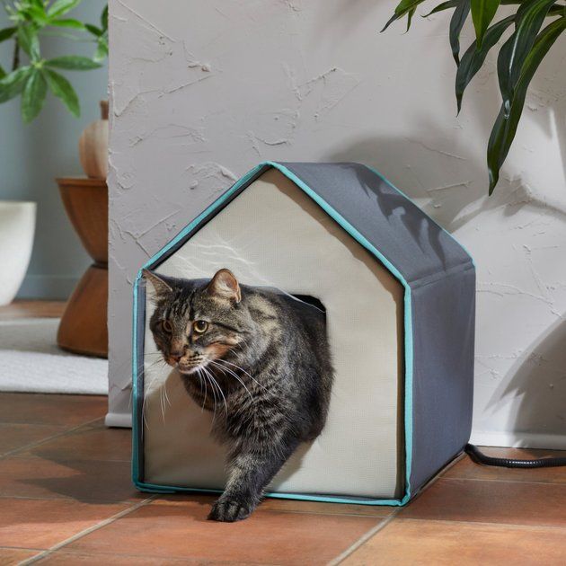 FRISCO Indoor Heated Cat House, Gray - Chewy.com | Chewy.com