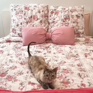 LoveShackFancy Oversized Bow Pillow | Pottery Barn Teen