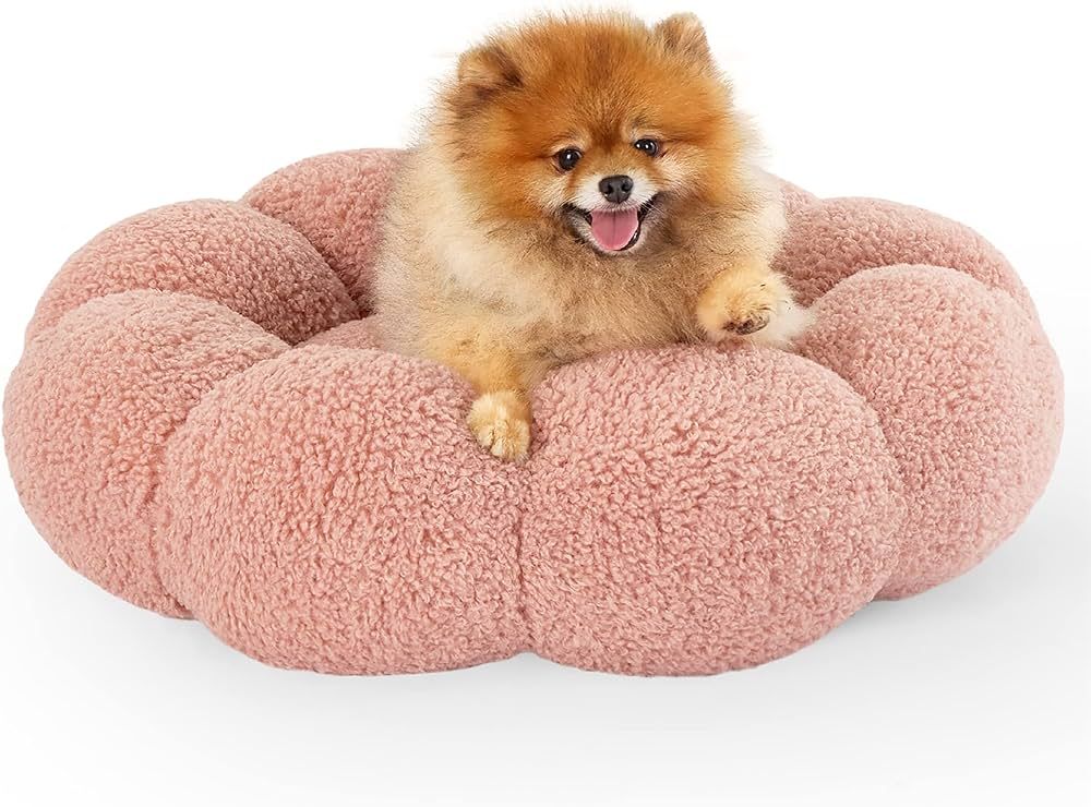 Lesure Calming Small Dog Bed - Flower Donut Round Fluffy Puppy Bed in Plush Teddy Sherpa, Non-Sli... | Amazon (US)