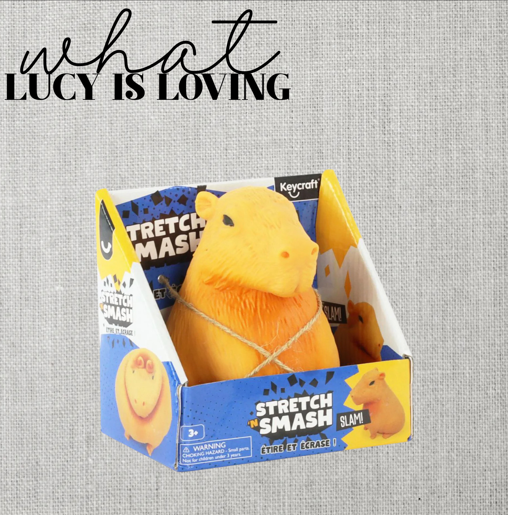 Lucy has been LOVING this capybara squishy!! It is filled with sand, which she loves! 

 