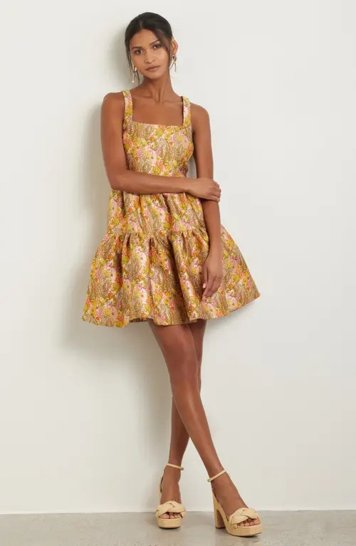 Chelsea28 Garden Brocade Fit & Flare Minidress in Beige Multi Floral at Nordstrom, Size Xx-Small | Nordstrom