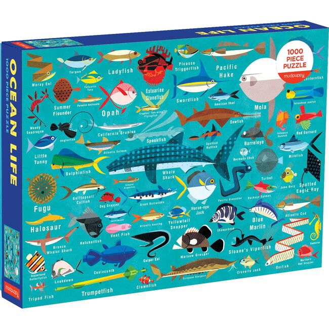 Ocean Life: 1000 Piece Family Puzzles | Maisonette