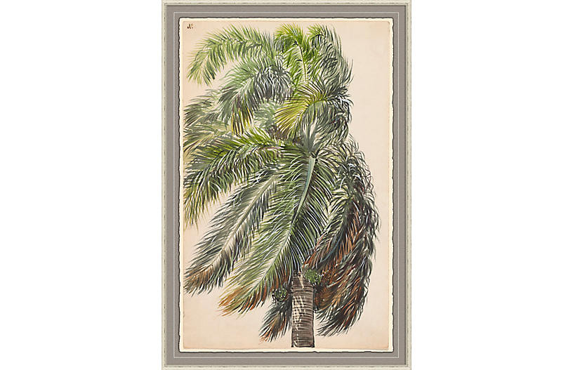 Charles de Wolf Brownell, Palma Real | One Kings Lane