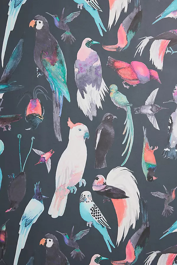 Paradise Birds Animal Wallpaper | Anthropologie (US)