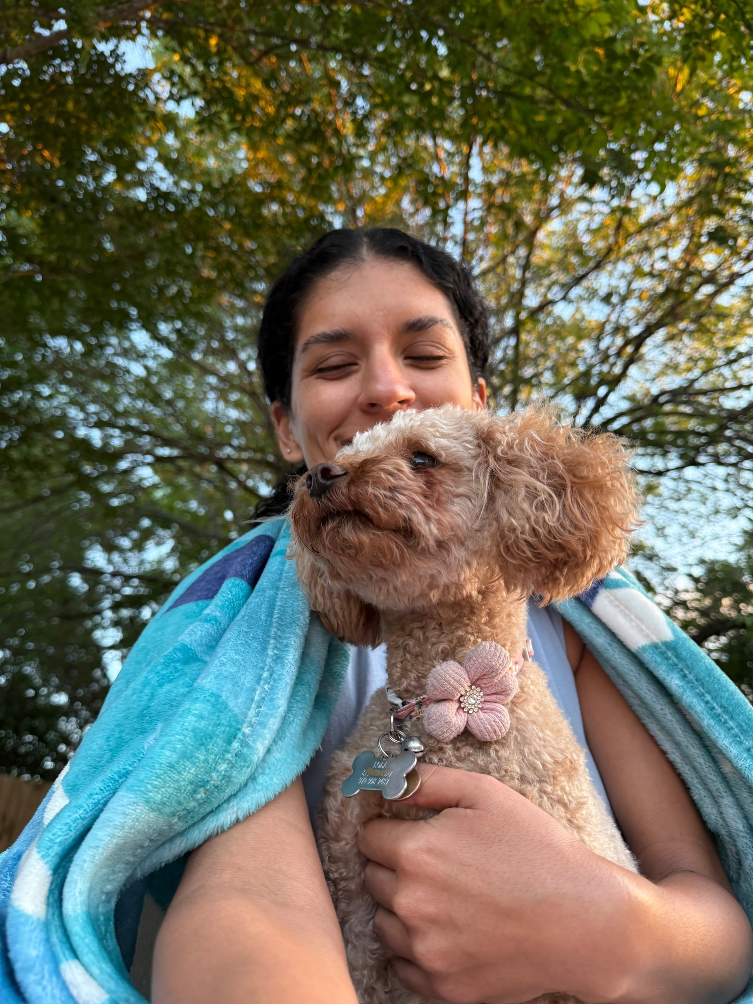 Dog collars from Amazon 😍

#dogaccessories #collars #amazon 

#LTKFindsUnder50 #LTKStyleTip #LTKPets