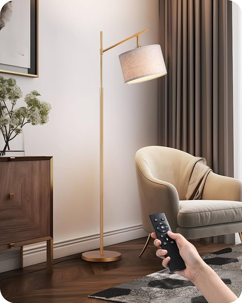 EDISHINE Dimmable Floor Lamp with Remote, Gold Corner Lamp Arched Over Couch, Modern Standing Lam... | Amazon (US)