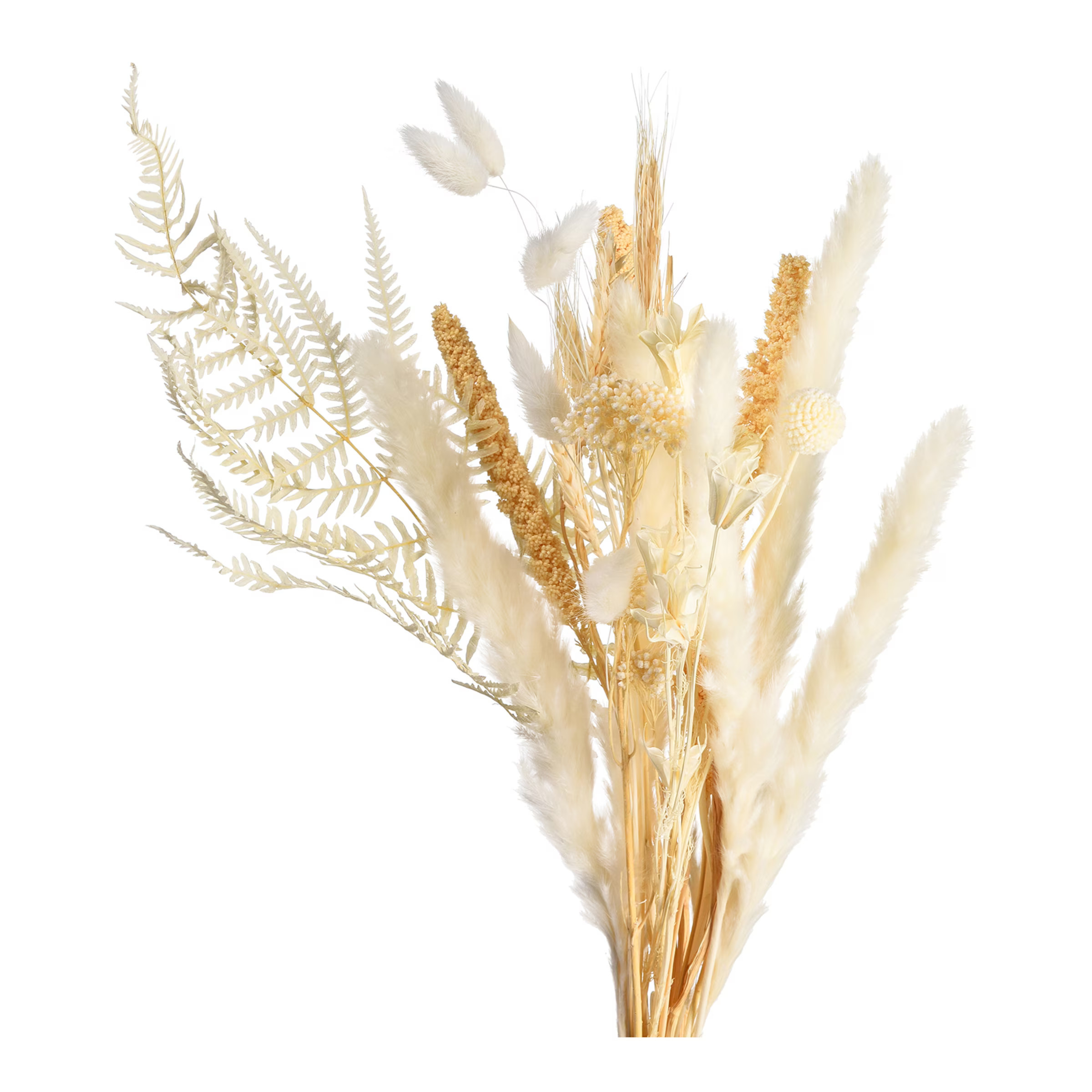 Trockenblumenstrauß Bouquet online kaufen | DEPOT | DEPOT Onlineshop DE