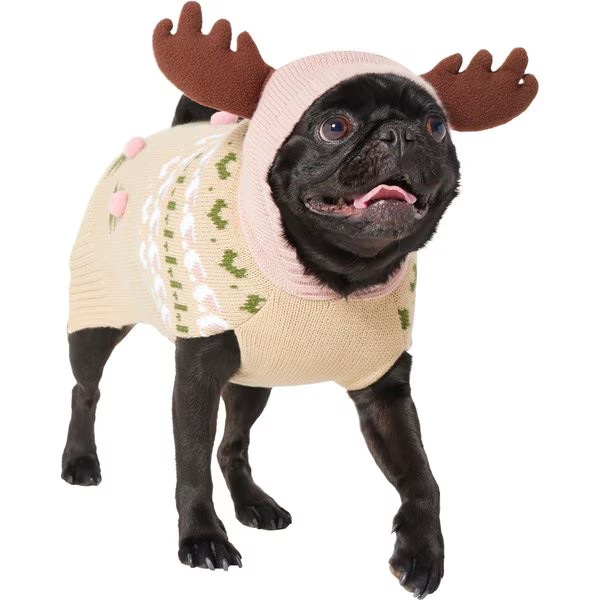 Frisco Nordic Fair Isle Dog & Cat Hooded Sweater, Medium | Chewy.com