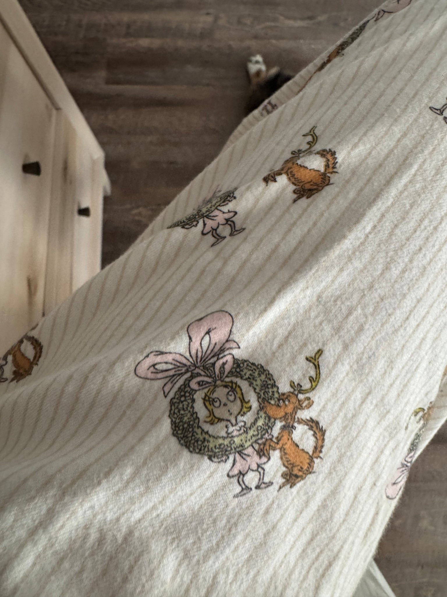 aerie still had a good amount of last minute Christmas pajamas today - love these Cindy Lou Who flannel pjs 🎀

#LTKHoliday #LTKSaleAlert #LTKFindsUnder50