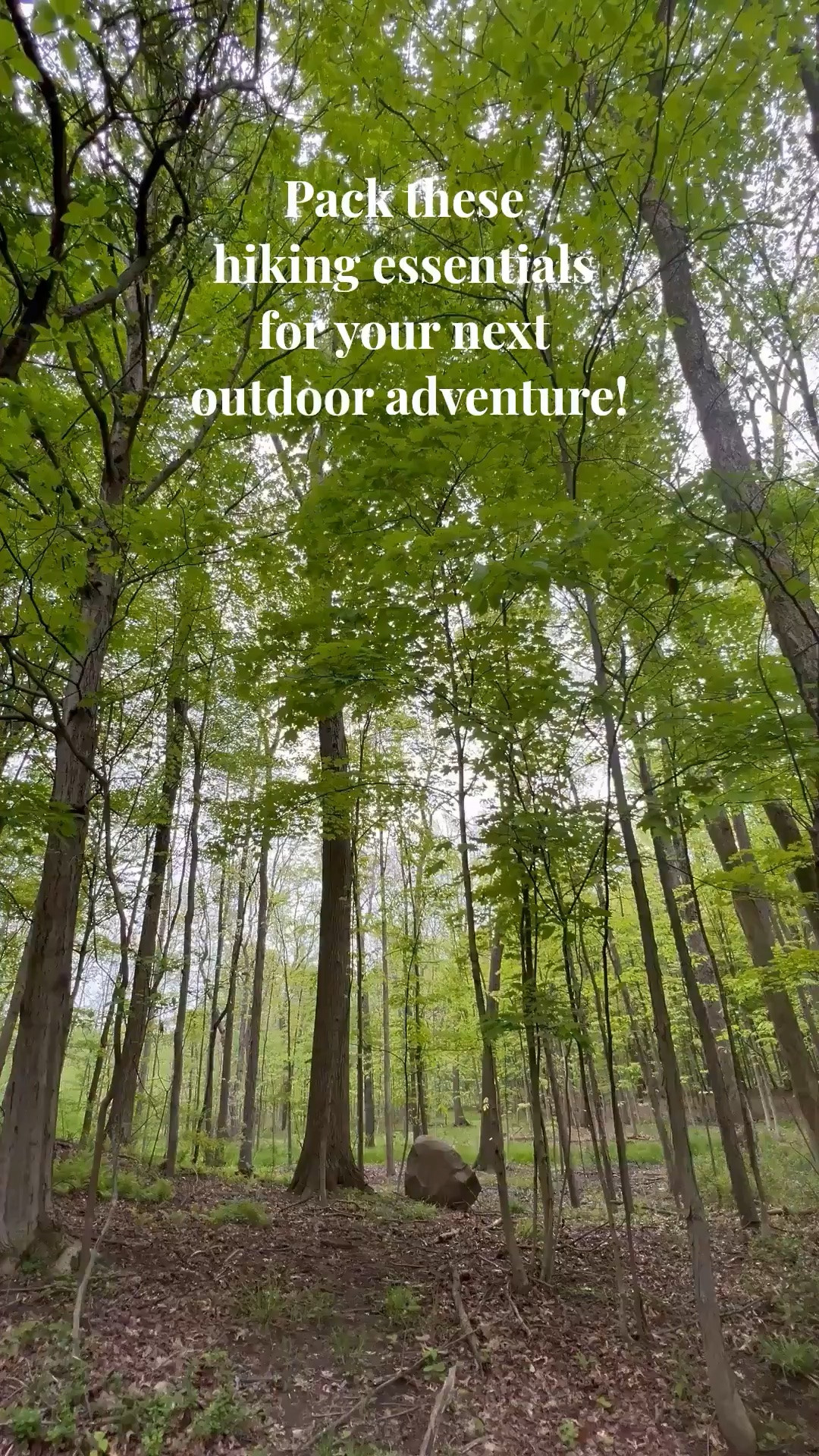 Pack these hiking essentials for your next outdoor adventure!

#LTKSeasonal #LTKOver40 #LTKSaleAlert #LTKTravel #LTKgrwm #LTKootd #LTKMidsize #LTKActive #LTKU #LTKfitnessgoals #LTKvlog