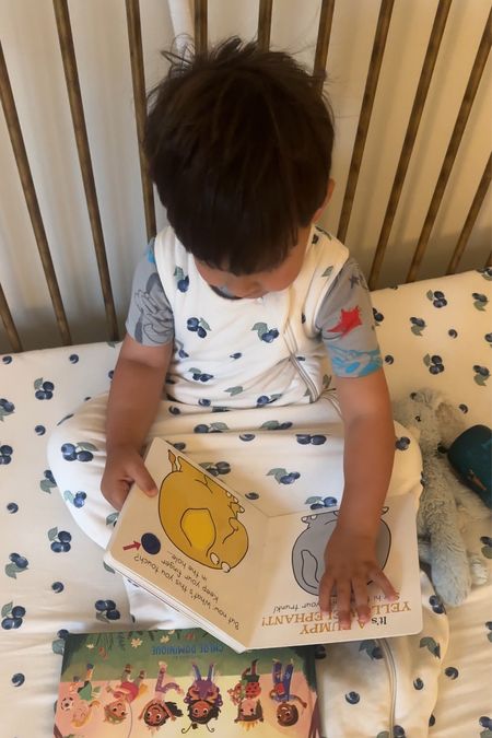 Jackson’s favorite toddler books + crib sheet, sleep sack, and toddler pajamas

#LTKkids #LTKbaby