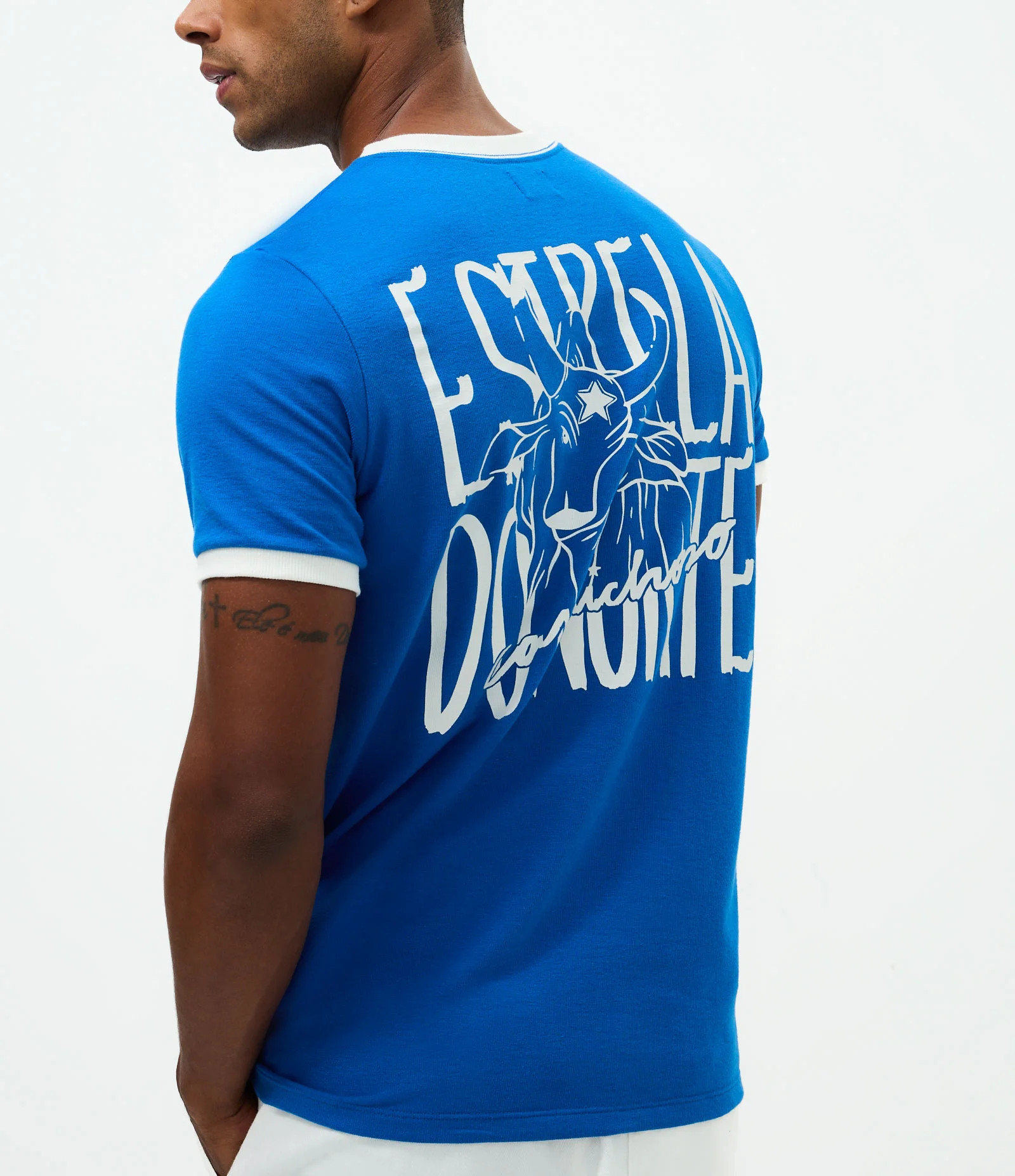 Camiseta Boi Caprichoso Parintins Azul - Lojas Renner | Renner (BR)