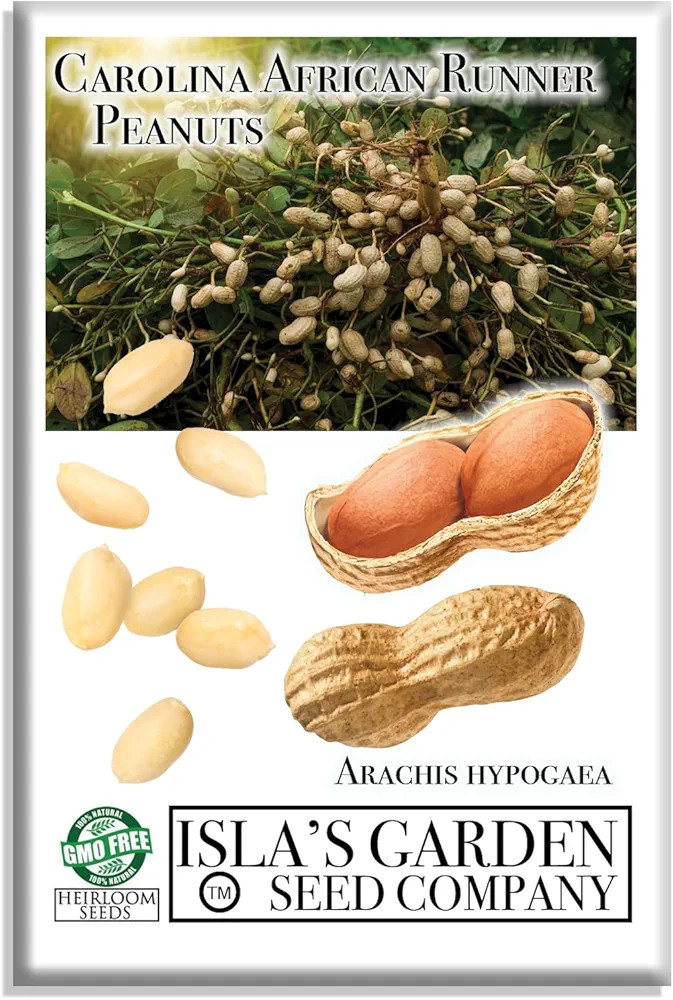 Carolina African Runner Peanut Seeds for Planting – 20 Heirloom Non-GMO Seeds by Isla’s Garde... | Amazon (US)