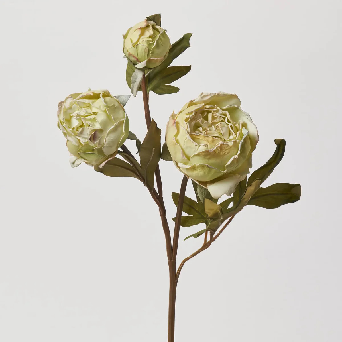 Real Touch Blooming Light Green Peony Stem Dried Look Faux Floral Spray - 25" | Darby Creek Trading