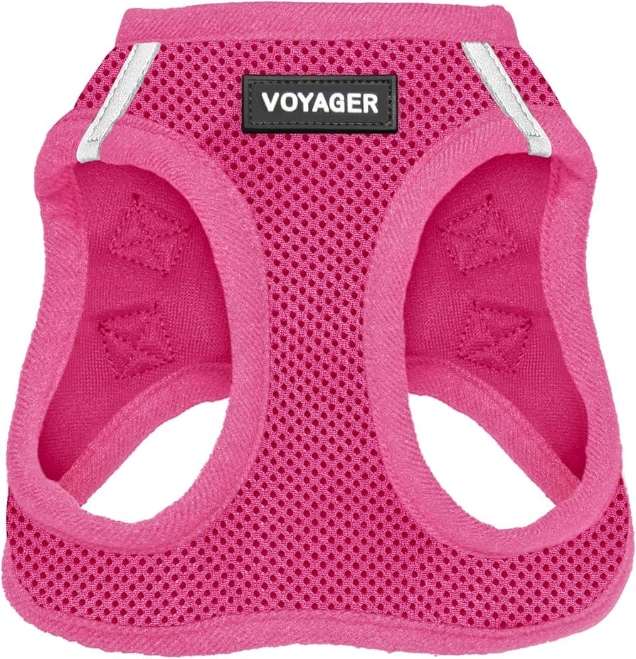 Voyager Step-in Air Dog Harness - All Weather Mesh Step in Vest Harness for Small and Medium Dogs by | Amazon (US)