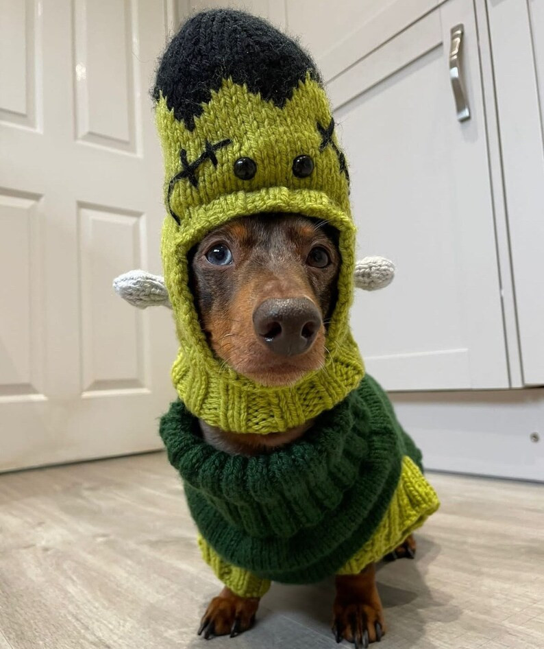 Frankenstein Dog Costume Dogs Pets Cats Frankenstein Dog - Etsy | Etsy (US)