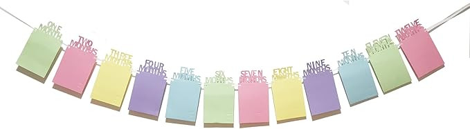 First Birthday Photo Banner - Baby Birthday Banner for Newborn to 12 Months Monthly Milestone Pho... | Amazon (US)