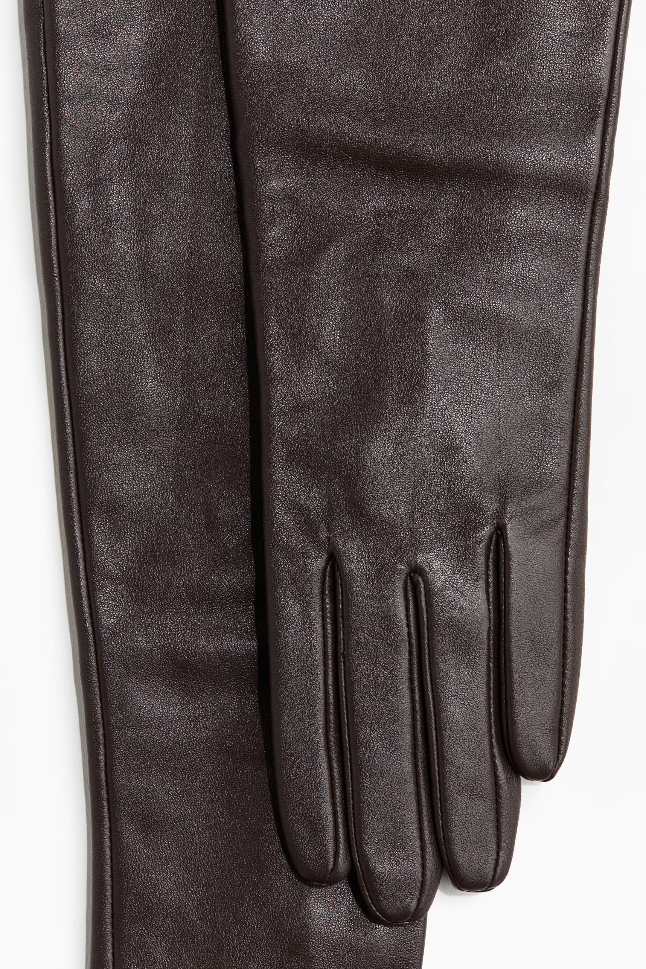 Long Leather Gloves | H&M (US + CA)