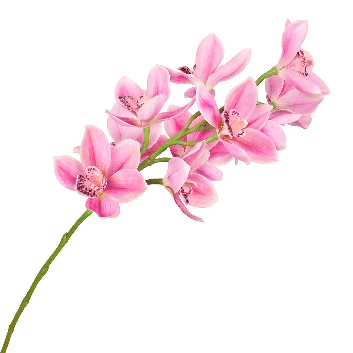 Fabric Orchid Arrangement (Set of 2) | Wayfair North America