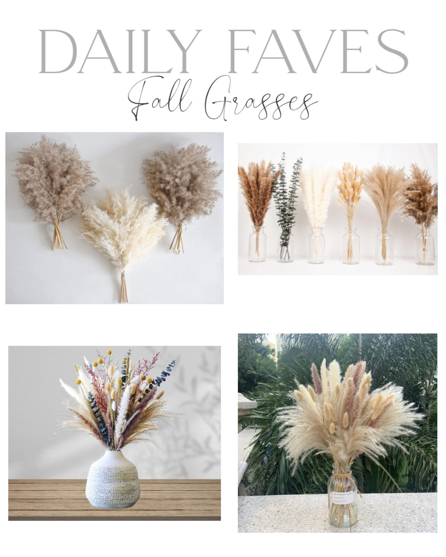 Beautiful fall grasses

#LTKSeasonal #LTKHome