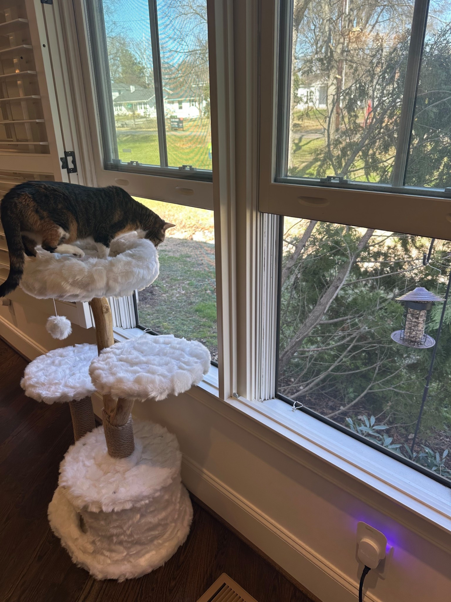 Cat tree 
Amazon find
Aesthetic cat tree 
Pets

#LTKHome