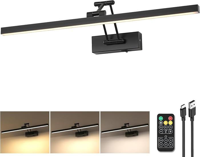 LED Battery Operated Picture Lights with Remote Wireless Art Lighting for Wall 23.6 Inch Recharge... | Amazon (US)